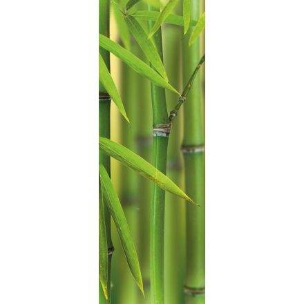 HDM Bamboo Sprouts vízálló fali panel