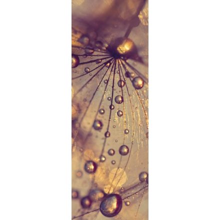 HDM Dandelion with Golden Drops vízálló fali panel