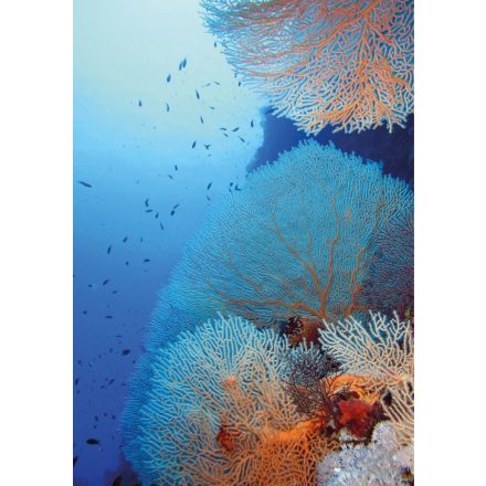 HDM Red Sea Coral vízálló fali panel