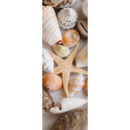 HDM Seashells and Starfish vízálló fali panel