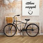 BEFAG Moment Tölgy Rustic 1 osztásos