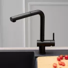 REGINOX CEDAR KIHÚZHATÓ CSAPTELEP, BLACK